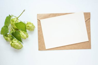 Zıplama dalı, çiçek, el işi zarf, çiçek, düzlük, üst görünüm içeren minimalist kart modeli