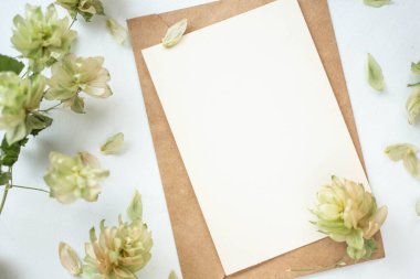 sek hop dalları ve kart maketleri. Sonbahar çiçekleri