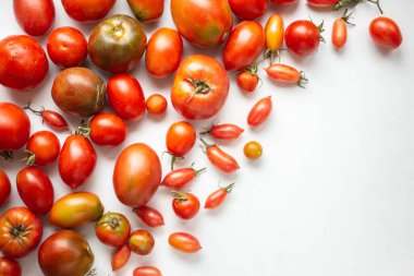 Sonbahar hasadı. farklı domates türleri.