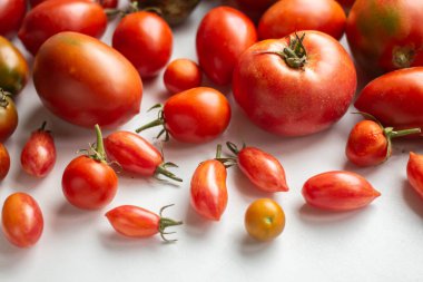 Sonbahar hasadı. farklı domates türleri.