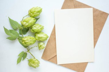 Zıplama dalı, çiçek, el işi zarf, çiçek, düzlük, üst görünüm içeren minimalist kart modeli