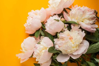 Turuncu masada beyaz şakayık. Minimalizm. pc düz yatıyordu için parlak twallpaper  