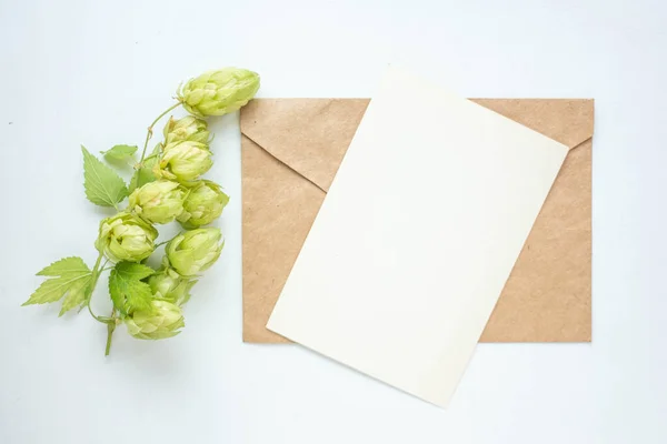 Minimalistic Card Mockup Hop Branch Flower Craft Envelope Blossom Flat — стоковое фото