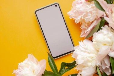 Beyaz şakayık ve telefon modeli. Çiçekli akıllı telefon. düz yat  