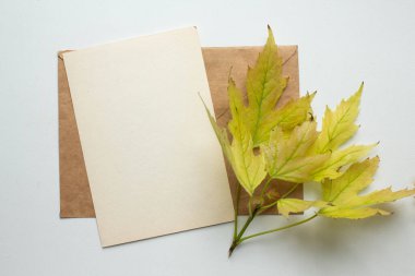 Sonbahar modelleme kartı sonbahar davetiye kartı ortam ve ayrıntılar ile bırakır. Kartpostal, çiçek ve kurdele ile beyaz arkaplan.