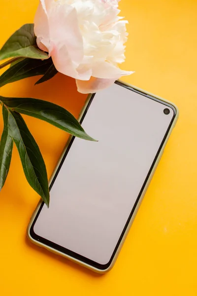 White Peony Phone Mockup Smartphone Flower Flat Lay — 스톡 사진