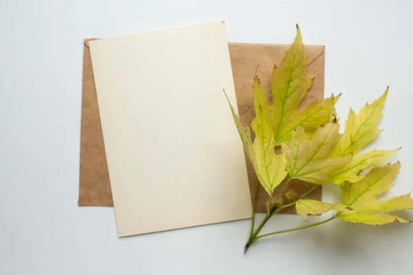 Fall Mockup Card Autumn Leaves Invitation Card Environment Details Mockup — стоковое фото