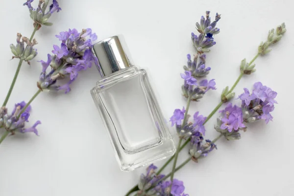 Perfume Bottle Lavender Flowers — ストック写真