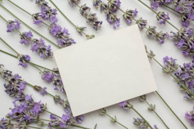 Lavanta ve zarflı kart modeli. Çiçekli minimalist tarzda davet