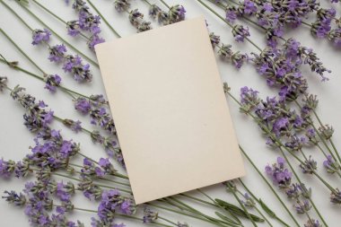 Lavanta ve zarflı kart modeli. Çiçekli minimalist tarzda davet