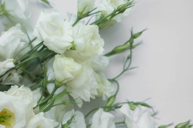 Beyaz çiçekler. Östoma beyaz masada.