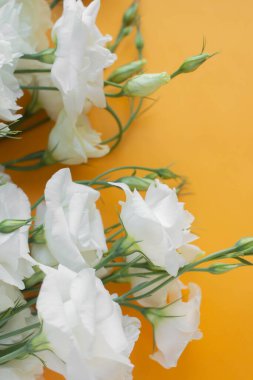 Beyaz çiçekler. Eustoma masada. Çiçekli arkaplan