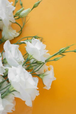 Beyaz çiçekler. Eustoma masada. Çiçekli arkaplan