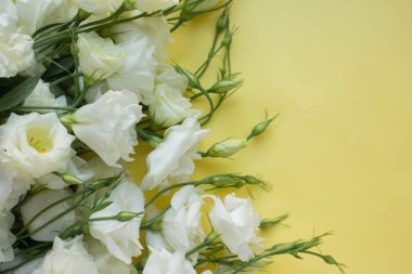 Beyaz çiçekler. Eustoma masada. Çiçekli arkaplan