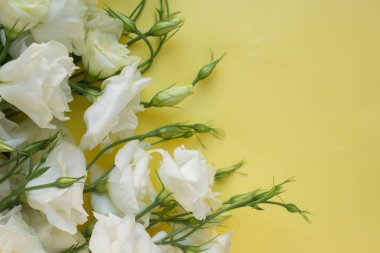 Beyaz çiçekler. Eustoma masada. Çiçekli arkaplan