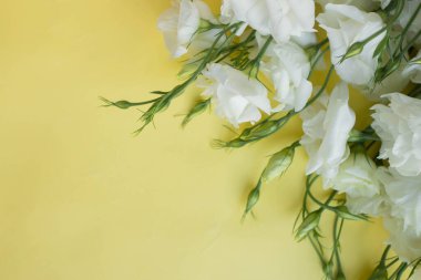 Beyaz çiçekler. Eustoma masada. Çiçekli arkaplan