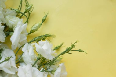 Beyaz çiçekler. Eustoma masada. Çiçekli arkaplan