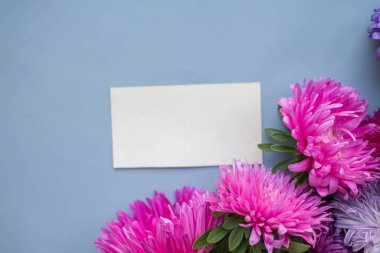 asters bouquet on grey-blue background. modern composition