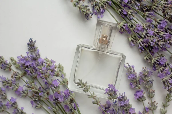 Perfume Bottle Lavender Flowers — ストック写真