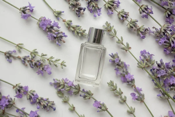 Perfume Bottle Lavender Flowers — ストック写真