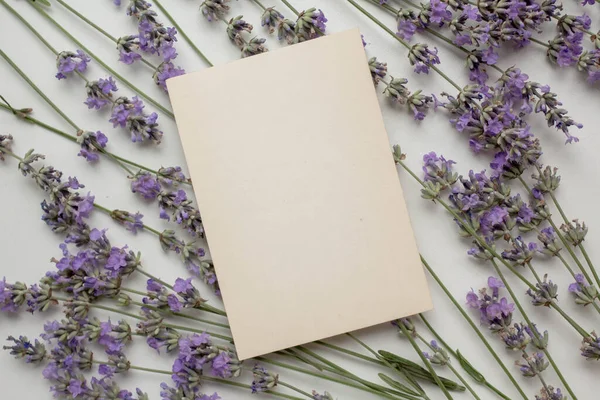 Lavanta ve zarflı kart modeli. Çiçekli minimalist tarzda davet