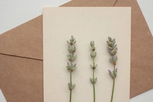 Card Mockup Lavender Envelope Invitation Minimalist Style Flowers — Stok fotoğraf