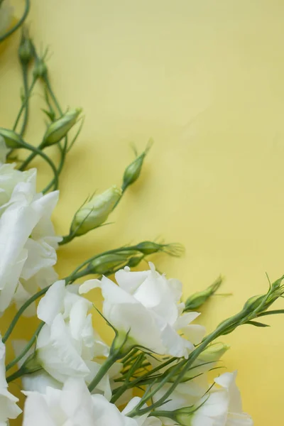White Flowers Eustoma Desk Background Flowers — Foto de Stock