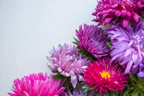 Background Colorful Fresh Asters Bouquet — Photo