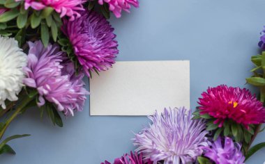 asters bouquet on grey-blue background. modern composition
