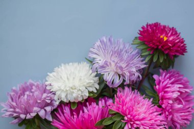 background with colorful fresh asters bouquet.