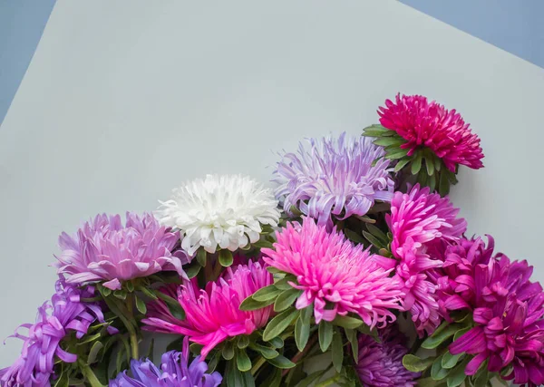 Background Colorful Fresh Asters Bouquet — Stok fotoğraf