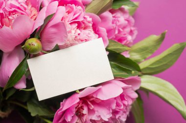 Minimalist kart modeli ve bir buket pembe şakayık. Su damlalı taze çiçekler..