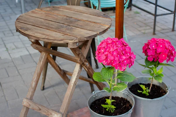 Cafe Table Flowers Wooden Table Colorful Chair Terrace — Photo