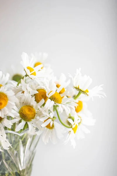 fresh bouquet of daisies in a vase on a white wall background