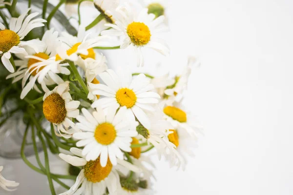 fresh bouquet of daisies in a vase on a white wall background
