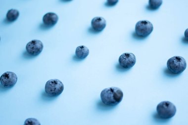 blueberry pattern on blue paper