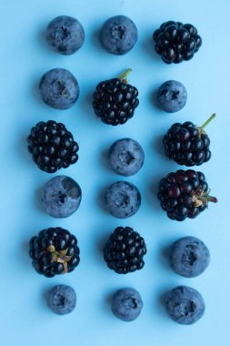blueberry and blackberry on blue background