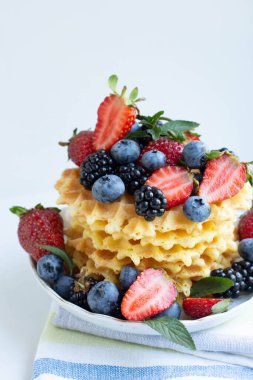 waffles with strawberry, blueberry and blackberry, mint