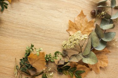 frame with fall leaves. autumn background