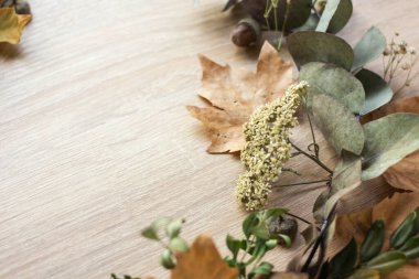 frame with fall leaves. autumn background