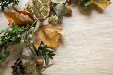 frame with fall leaves. autumn background