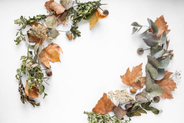 frame with fall leaves. autumn background