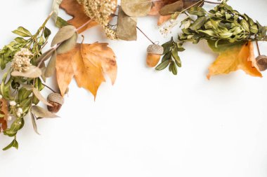 frame with fall leaves. autumn background