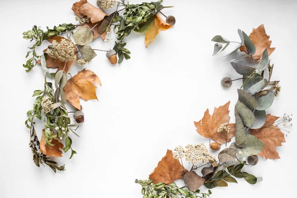 Frame Fall Leaves Autumn Background — Stok fotoğraf