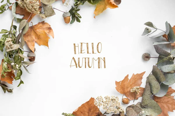 Phrase Hello Autumn Fall Leaves — Zdjęcie stockowe