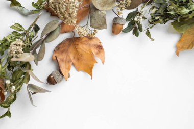 frame with fall leaves. autumn background