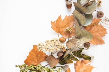 frame with fall leaves. autumn background