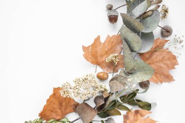 frame with fall leaves. autumn background