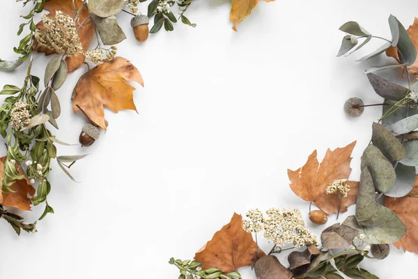 frame with fall leaves. autumn background