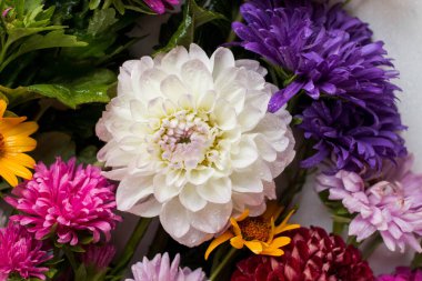 background of colorful flowers. asters. autumn bouquet on table